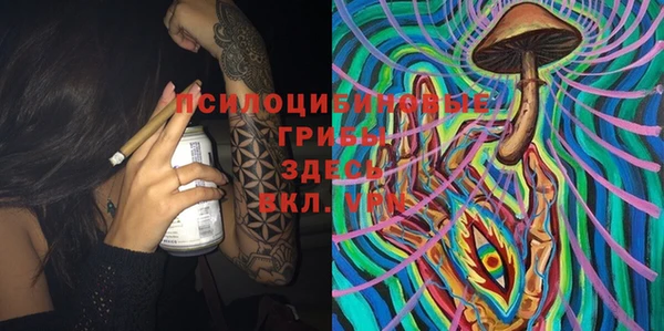 ПСИЛОЦИБИНОВЫЕ ГРИБЫ Алексеевка