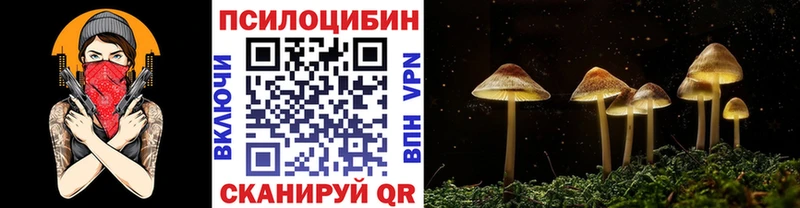Псилоцибиновые грибы GOLDEN TEACHER  где купить наркоту  Щёлкино 